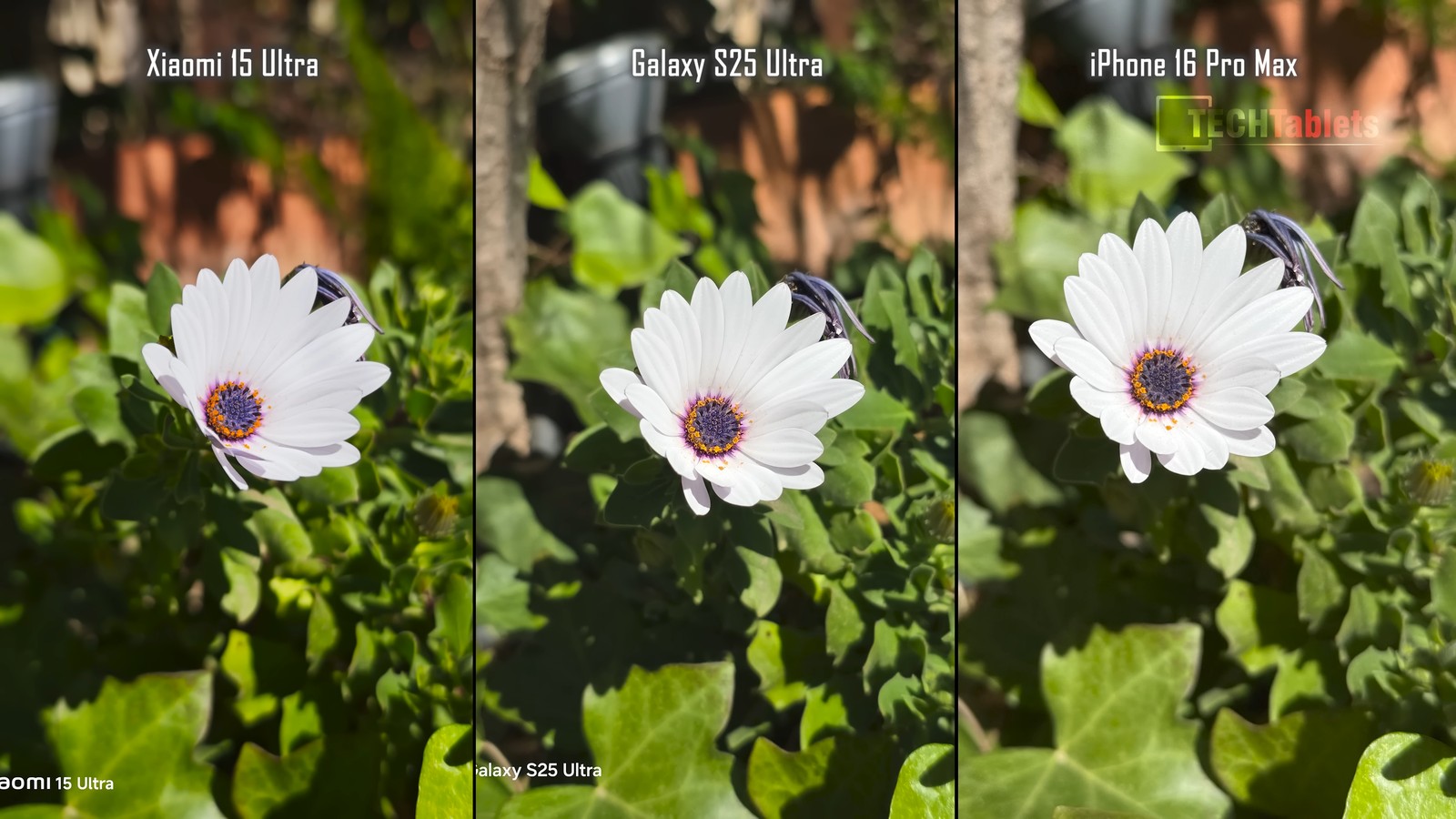 Xiaomi 15 Ultra Vs Galaxy S25 Ultra Vs iPhone 16 Pro Max Camera Comparison
