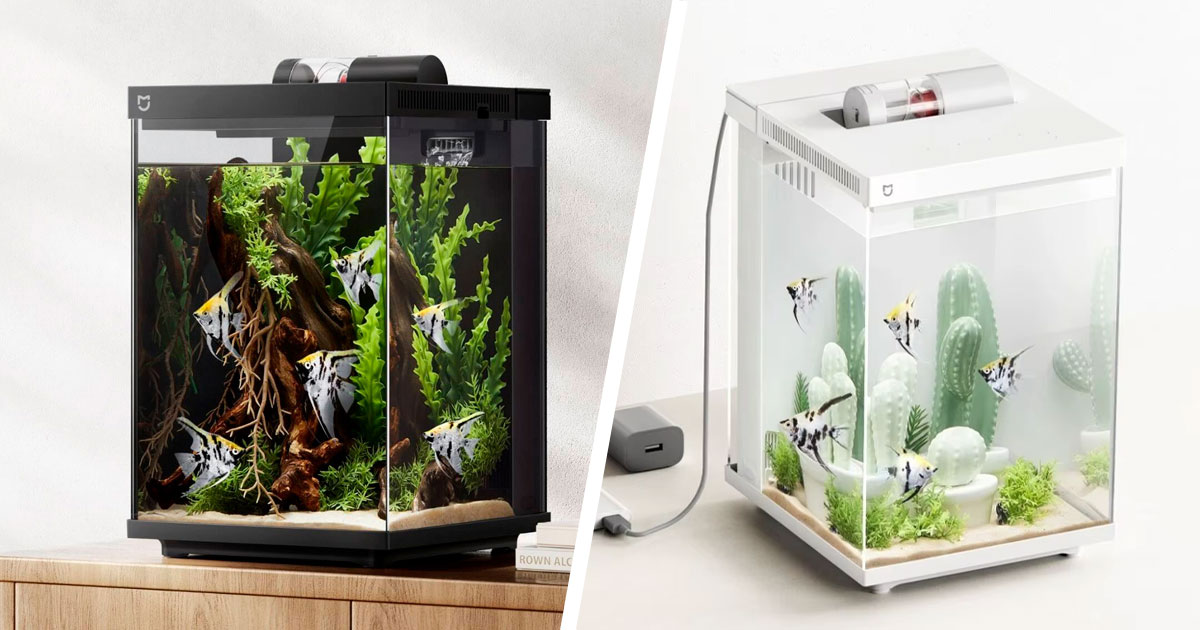 Xiaomi is bringing an aquarium for 2025 Mijia Smart Desktop Fish Tank!