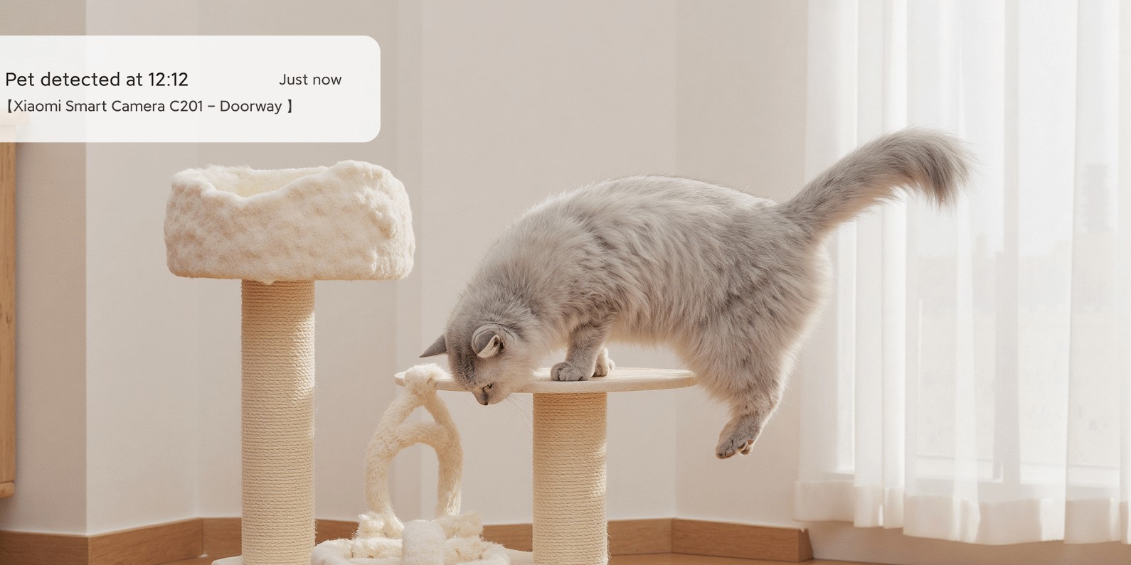 Xiaomi Smart Camera C201 rozpozná mačku